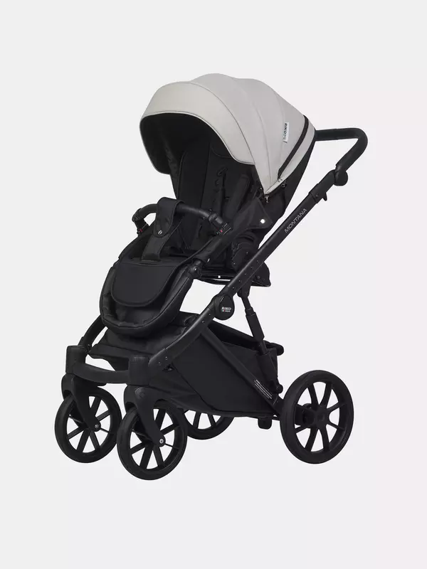 Коляска 2 в 1 Riko Basic Montana Ecco 31 Light Silver-Black