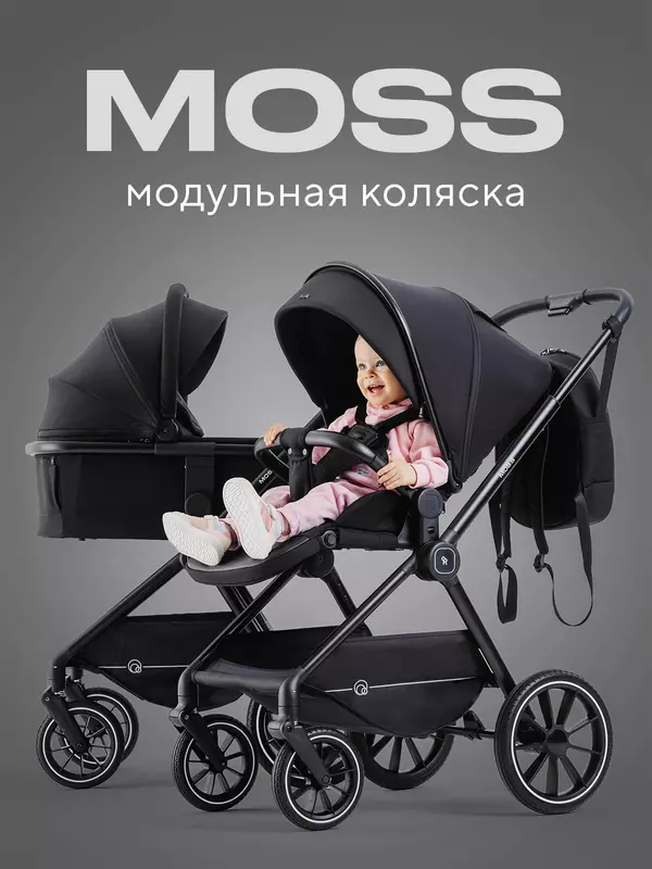 Коляска 2 в 1 Rant Moss Midnight black